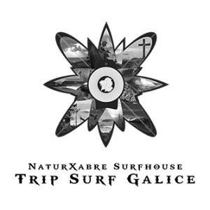 tripsurf-galice-logo-vannes-vague-graphique