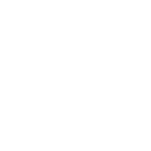 vague-graphique-RVB_white