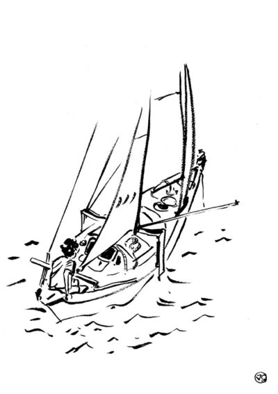 corentin-de-chatelperron-tara-tari-voile-sailing-vague-graphique corentin-de-chatelperron-tara-tari-voile-sailing-vague-graphique