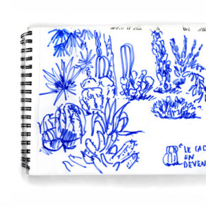 majorelle-jardin-marrakesh-vaguegraphique-carnet-de-voyage.-pano