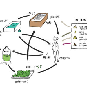 ecosysteme