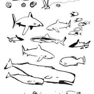 ocean-poissons-coloriage-requins-baleines-vaguegraphique