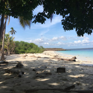 isla-iguana-panama-vaguegraphique-pedasi