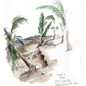 torio-dessin-vaguegraphique-playa-pedasi