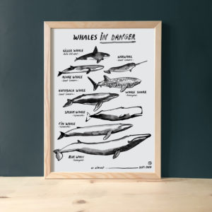 whales-in-danger-baleine-vaguegraphique-tirage