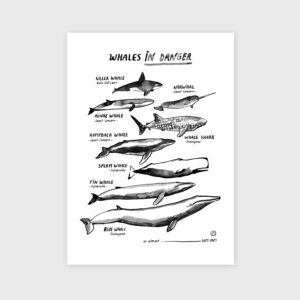 reproduction-whales-in-danger-encre-de-chine-lorient