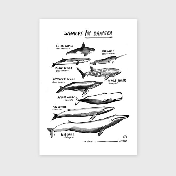 reproduction-whales-in-danger-encre-de-chine-lorient