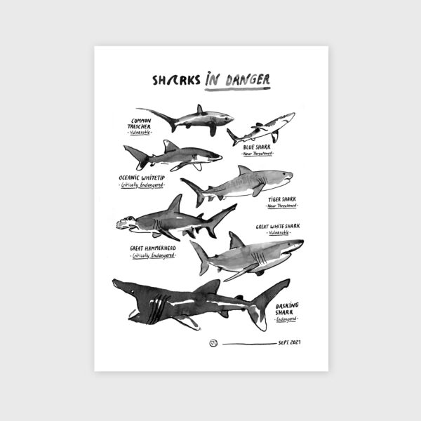 Liste des requins en voie de disparition