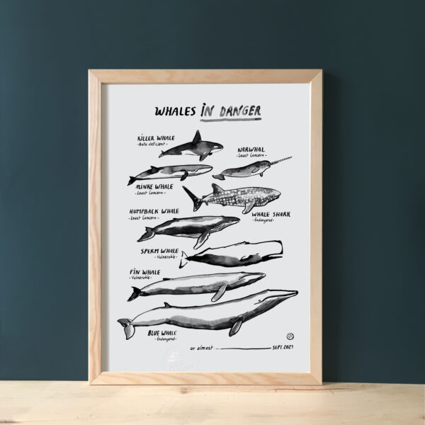 whales-in-danger-baleine-vaguegraphique-tirage