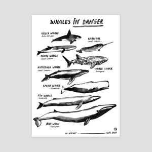 reproduction-whales-in-danger-encre-de-chine-lorient