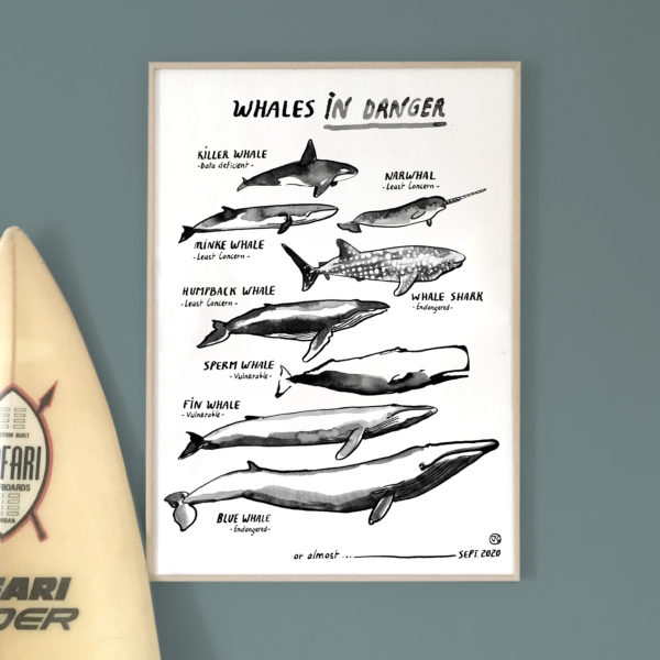 whales-in-danger-affiche-vague-graphique-animaux-marins