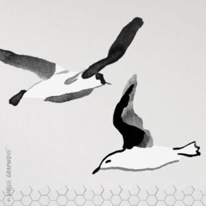 Mouette sticker mural en papier peint pré-encollé, dessin