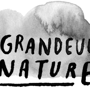 collage de plantes et animaux sur vos murs