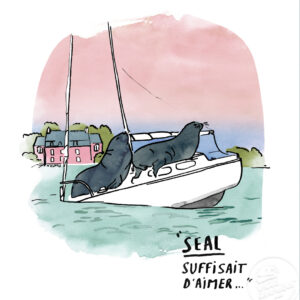 Zoom illustration otaries golfe du Morbihan, Séné