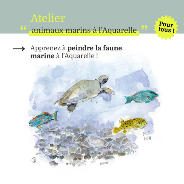 Atelier Aquarelle faune marine par Vague Graphique, Fanny