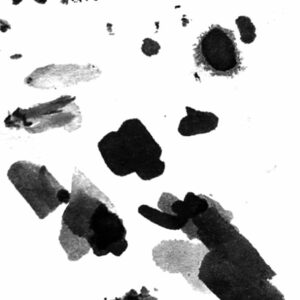 Cours de dessin à Lorient, en Morbihan