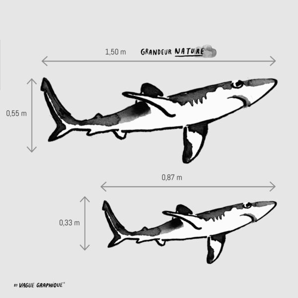 Dimensions du sticker Requin peau bleu