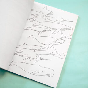 Coloriage de cétacés, baleines pour enfant et plus grands !
