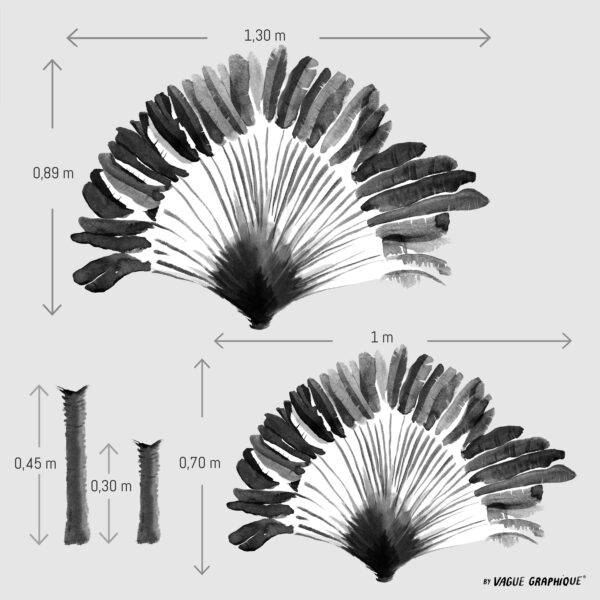 Dimensions stickers arbre du voyageur