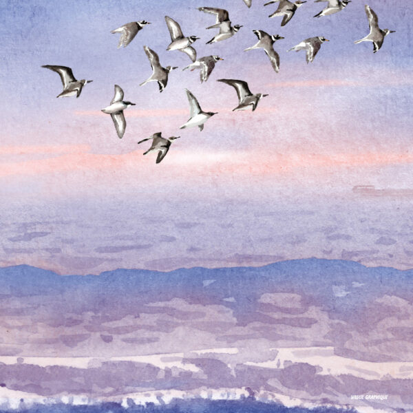 Surf au coucher de soleil – Image 1