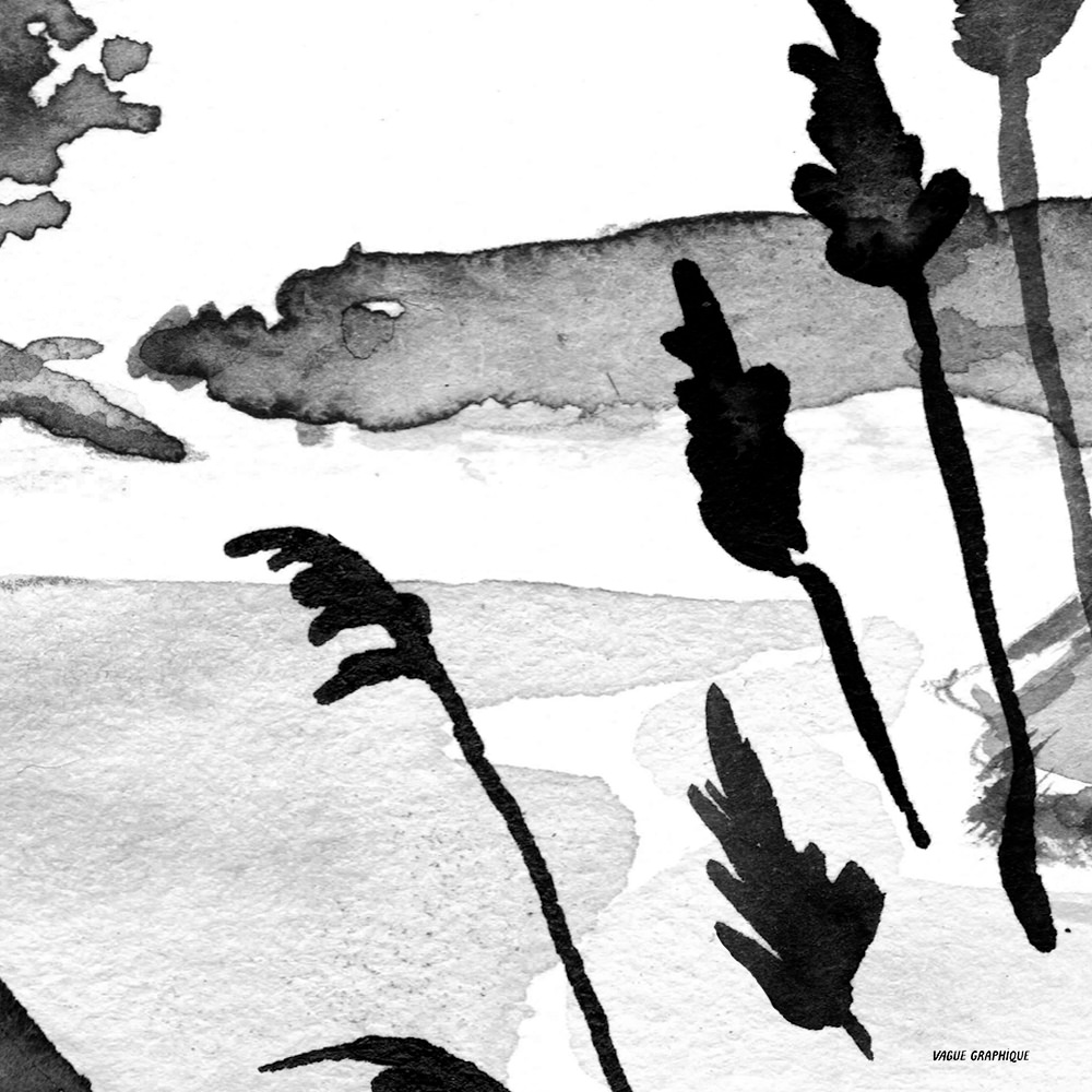 Herbes de pampa pour une plage sauvage dessinée à l'encre